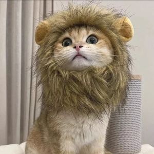 LION WIG FOR PETS